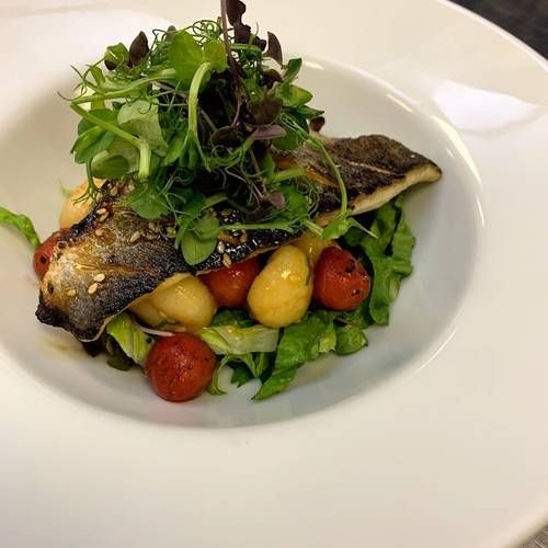 Sea bass with Asian leaf salad, gnocchi, basil, watermelon, and a chilli & sesame dressing